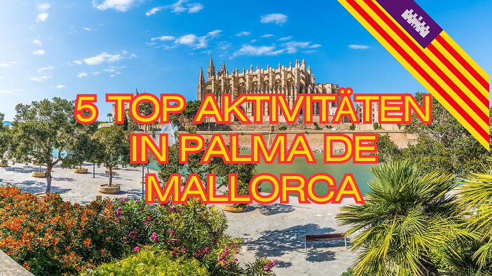 5 Top Aktivitäten in Palma de Mallorca, mit Buchungsoptionen
