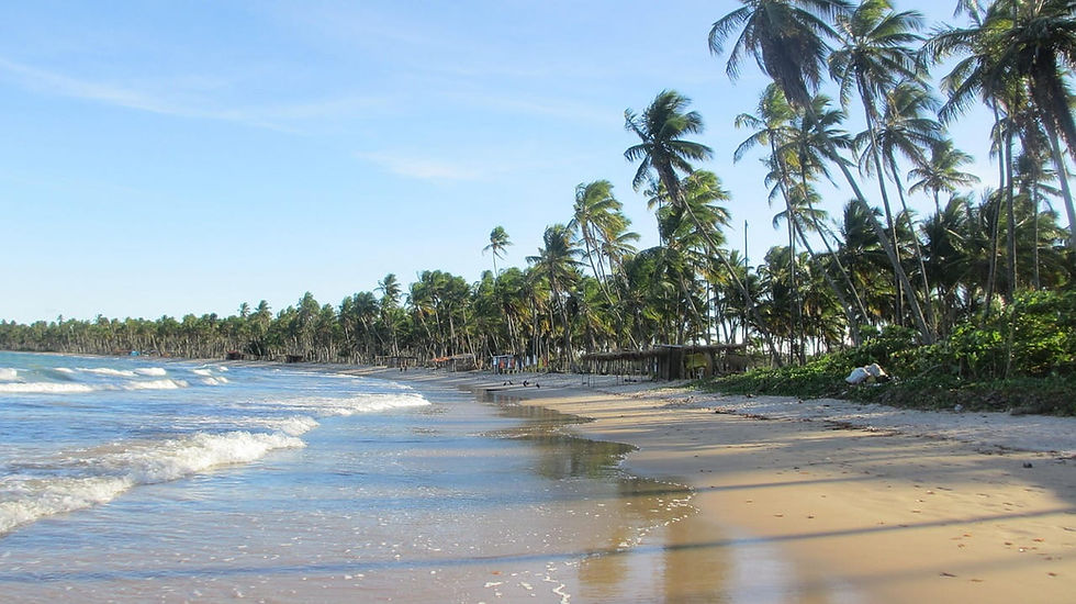 Strand mit Palmen, blauer Himmel und sanfte Wellen. Menschen am Ufer, entspannte Atmosphäre. Sand, grüne Vegetation im Hintergrund. Reiseziel Brasilien