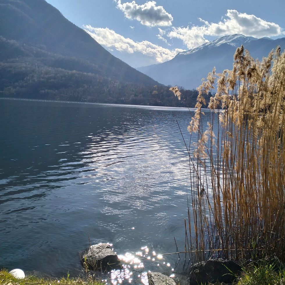 IMG20240316150431.jpg