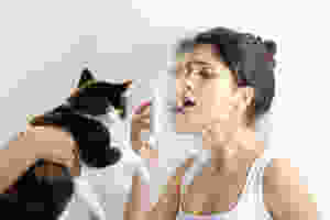 Alergia