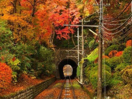 9/11 西武鉄道旅するレストランにて演奏します🚃