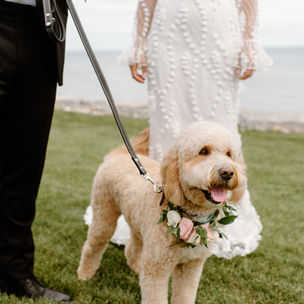 Morgan-Brendon-Wedding-76.jpg