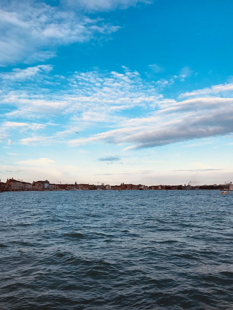 Punta della dogana