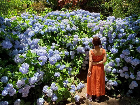 Photo-DD-Flower-Summer-02_1280x960-min.jpg