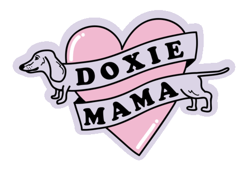 Dogs Dachshund Sticker by Love Social Me