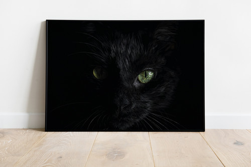 The Black Cat | Kristine Prigarska