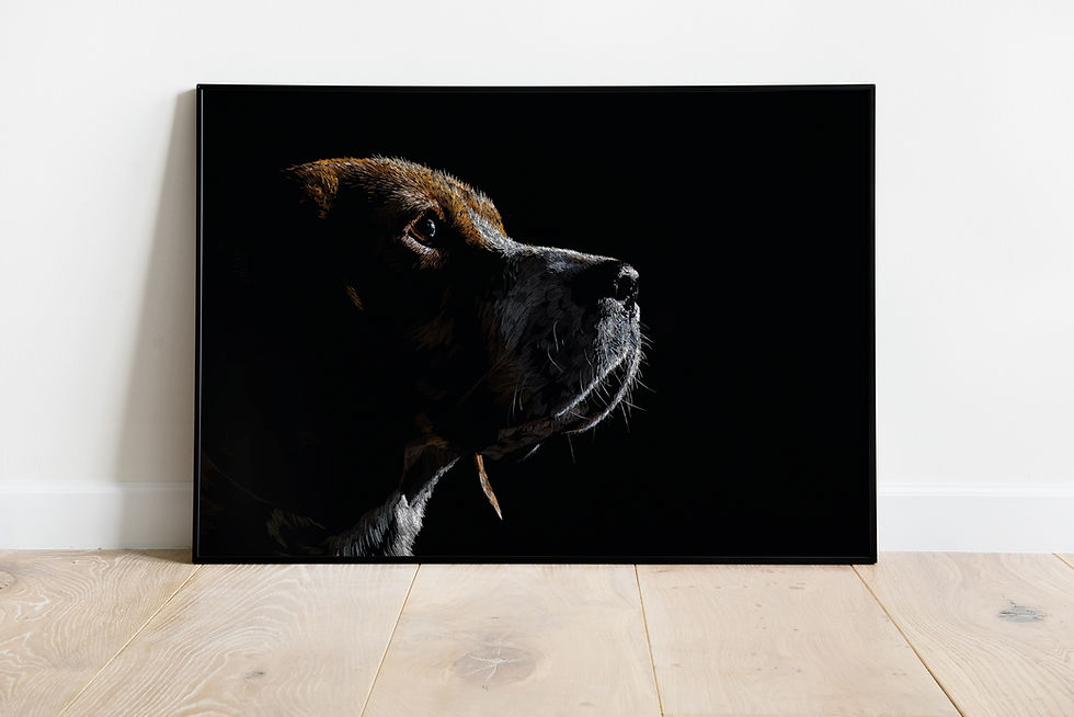 Thumbnail: The Hound