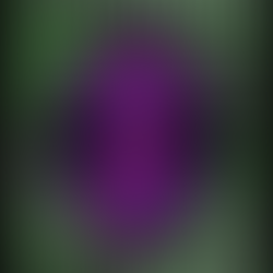 Rupture & Repair in Supervision