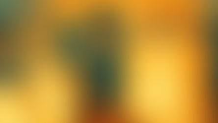 dontlead.com dontlead.com dontlead.com