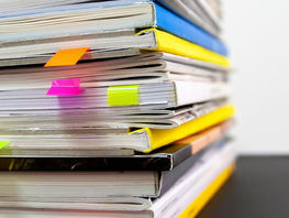 Vergadering Lille verslag