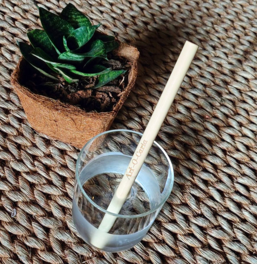 Thumbnail: Set of 10 bamboo straws + cleaning swab