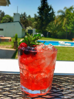 Mucho Gusto Eventos Barras Moviles