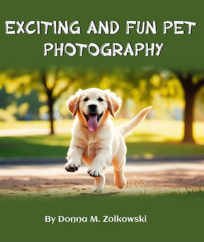 Exciting and Fun Pet Photography book cover