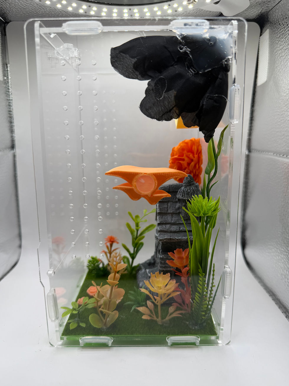 Thumbnail: Orange Haunted House Enclosure (4x4x8in) 