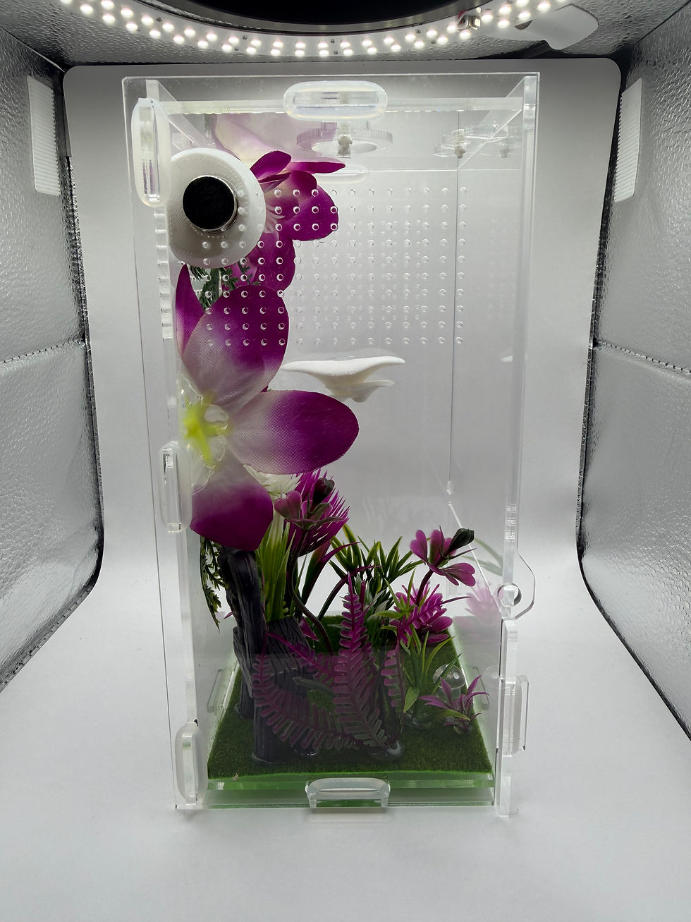 Thumbnail: CLEARANCE Purple Chair Enclosure (4x4x8in) 