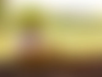 Atualização da pensão de alimentos (em especial em 2023)