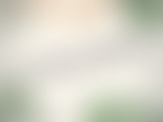 As Férias judiciais (de verão - 16 de julho a 31 de agosto).