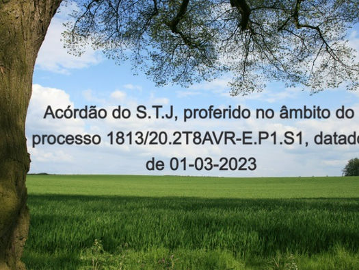 Acórdão do S.T.J, proferido no âmbito do processo 1813/20.2T8AVR-E.P1.S1, datado de 01-03-2023