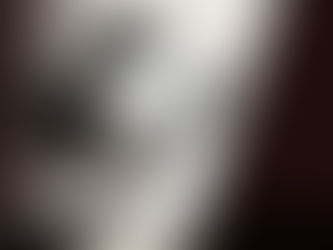 O Acesso a Documentos Administrativos (regra geral)