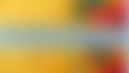 Despacho n.º 1992-A/2026 - tolerância de ponto aos trabalhadores que exercem funções públicas nos serviços da admin direta do Estado, sejam estes centrais ou desconcentrados, e nos inst. Públiicos