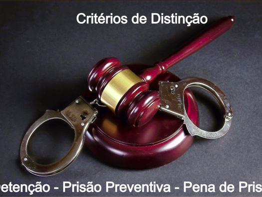 Distinction between Detention, Preventive Custody and Prison Sentence