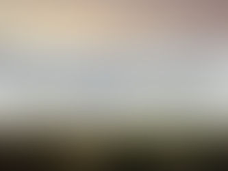 Fixado o calendário venatório para as épocas 2024-2025, 2025-2026 e 2026-2027