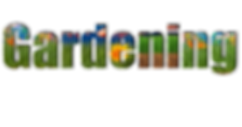 A New Design (1).png