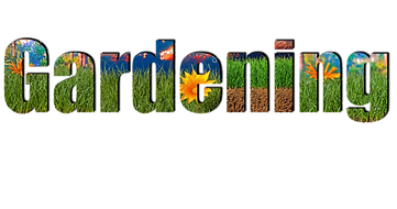 A New Design (1).png