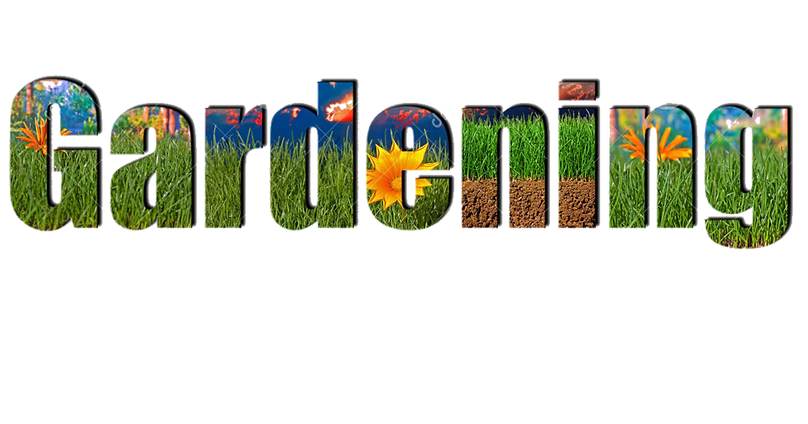 A New Design (1).png