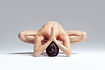 Yoga Practice