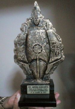 XV MEDIA MARATON PALOS - CEPSA