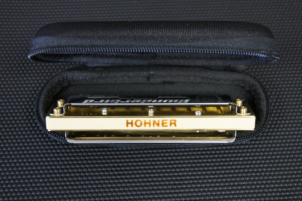 Miniature : Harmonica diatonique Hohner  Thunderbird 2011/20
