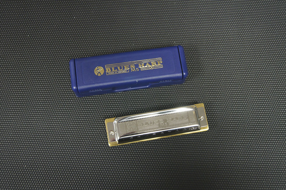 Miniature : Harmonica diatonique Hohner  Blues Harp 532/20