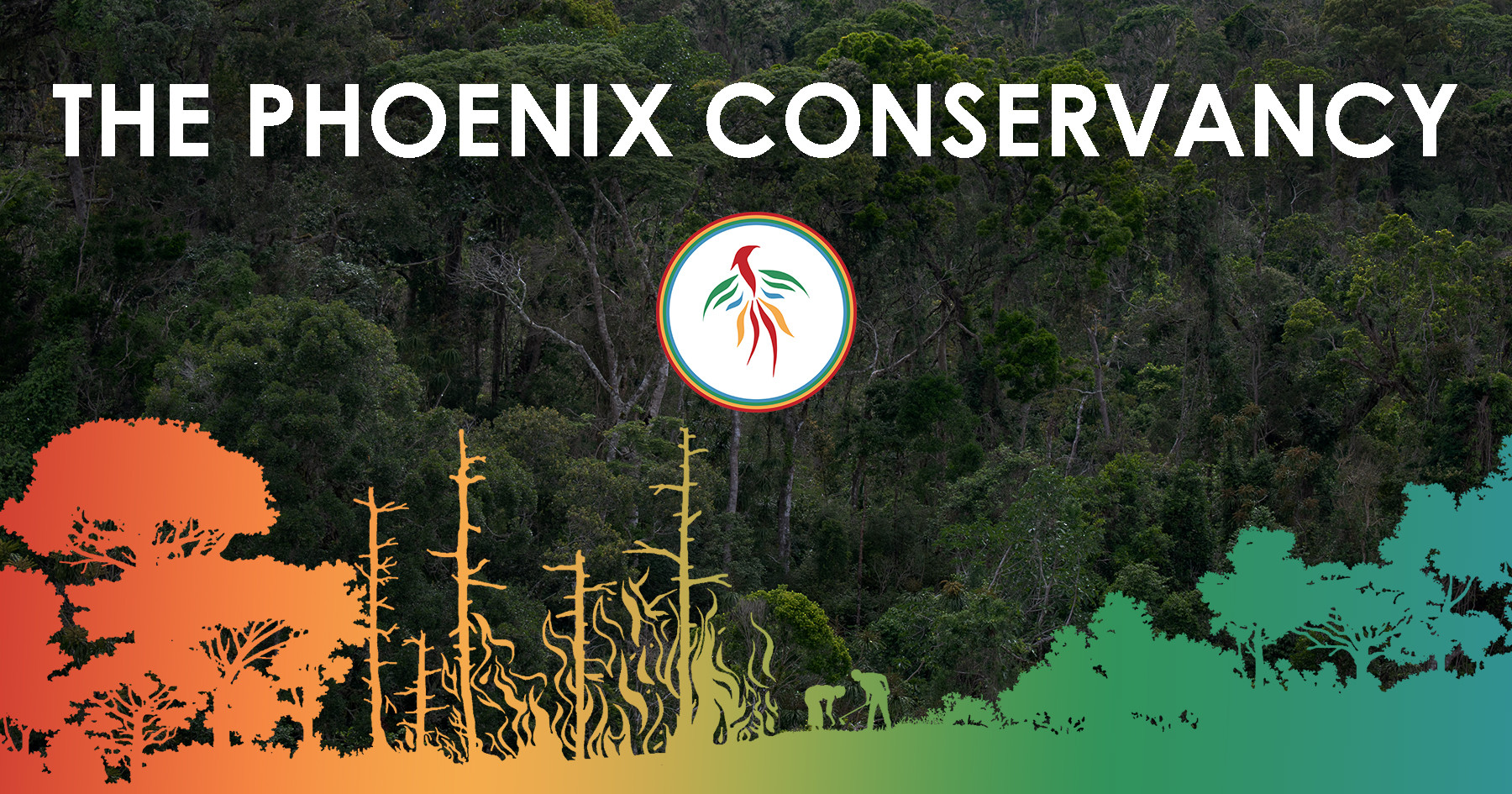 Foxhole Forests | Phoenix Conservancy