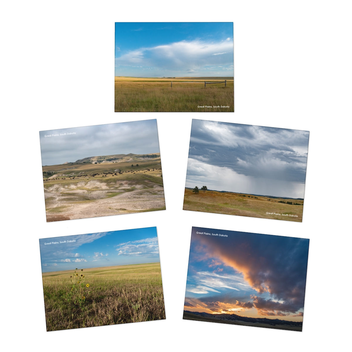 Great Plains Landscape Greeting Cards (5-Pack)