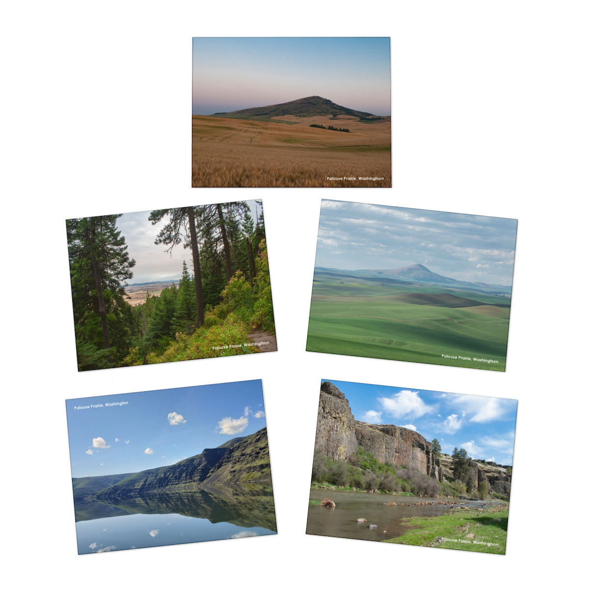 Palouse Prairie Landscape Greeting Cards (5-Pack)