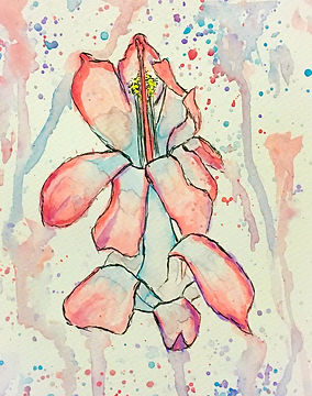 flower in watercolour