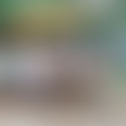 The Ultimate Road Trip Gear Gift Guide: Holiday Essentials for Outdoor Adventures with Family & Pets