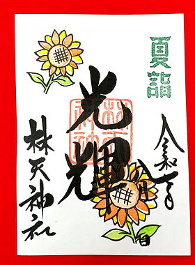 20250727_121308_edited.jpg