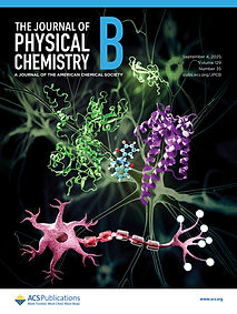 jpcbfk.2025.129.issue-35.xlargecover.jpg