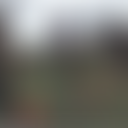 Lauren Glover shines across three sports