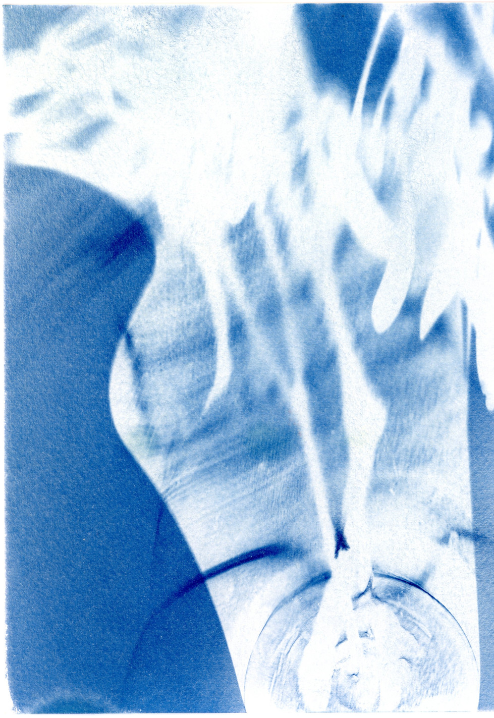 Bouquet mystique #2