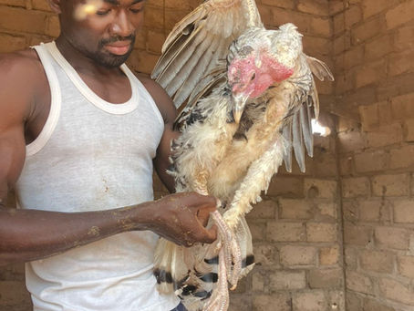 Leven op de boerderij in Banzon