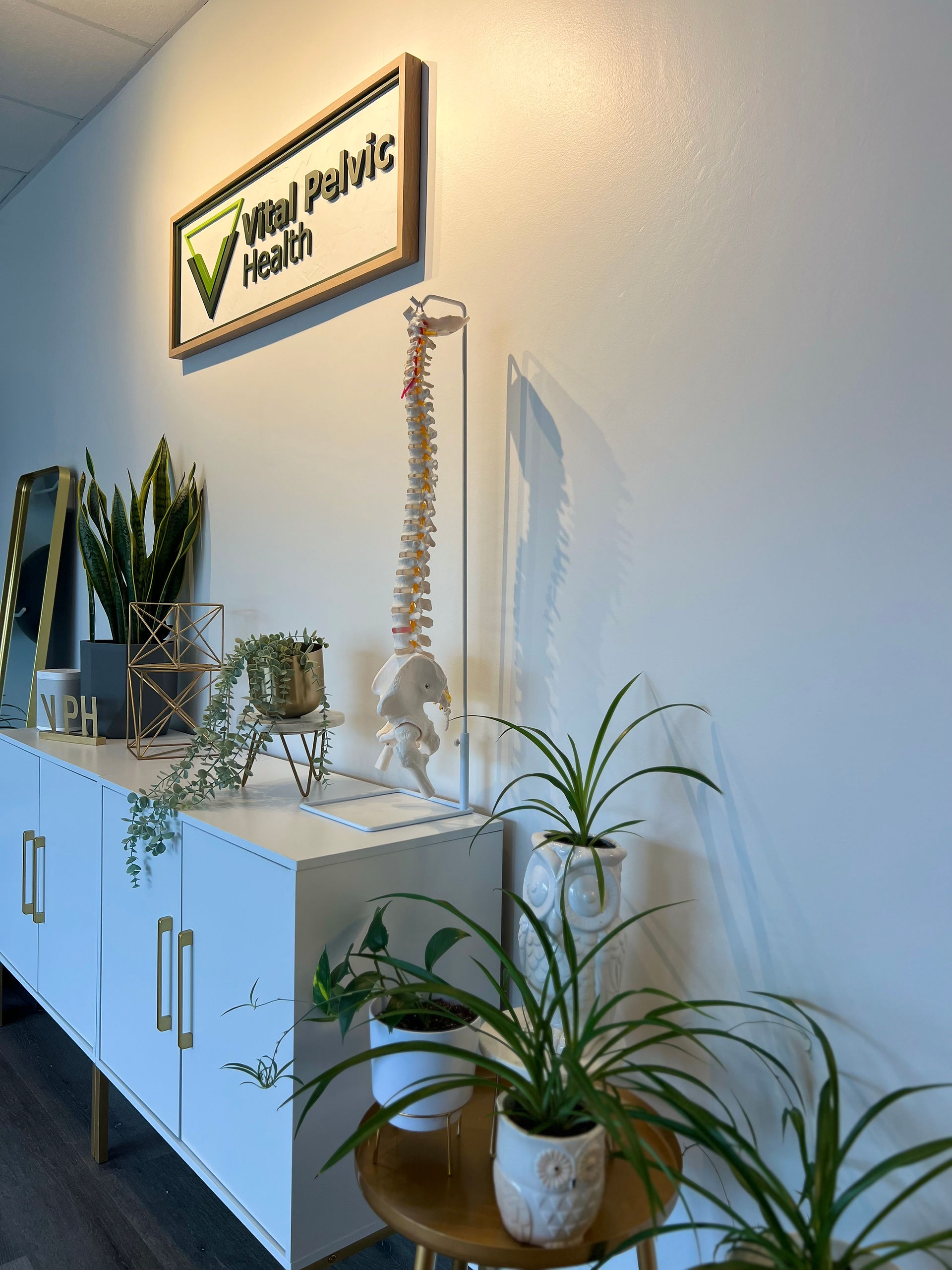 holistic pelvic floor therapy at comfortable vital pelvic health and wellness clinic