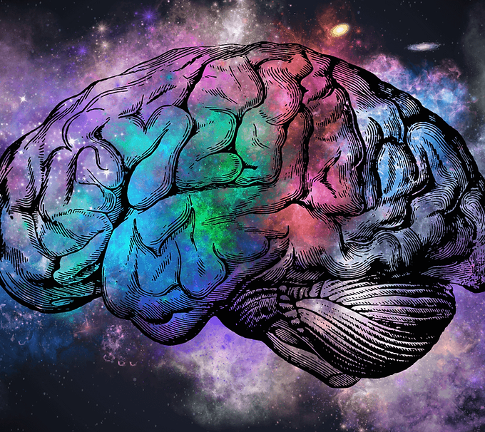 645bbbfbd405de9f0fe467b0_adhd-galaxy-brain.png