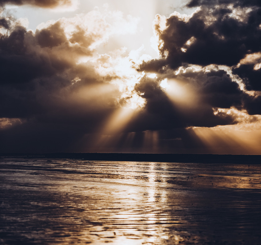 SPO-Nordseepferde_2021-08-14 (615)fb.jpg