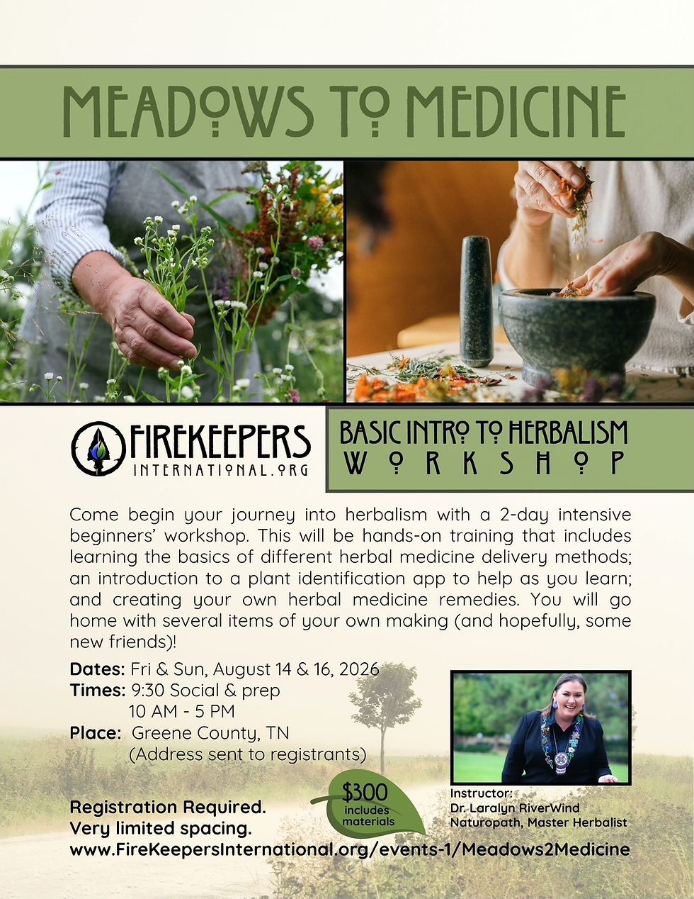Meadows to Medicine - Herbal Medicine Class for Beginners