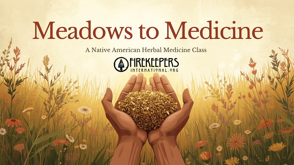 Meadows to Medicine-Native Amerian Herbal medicine class for beginners