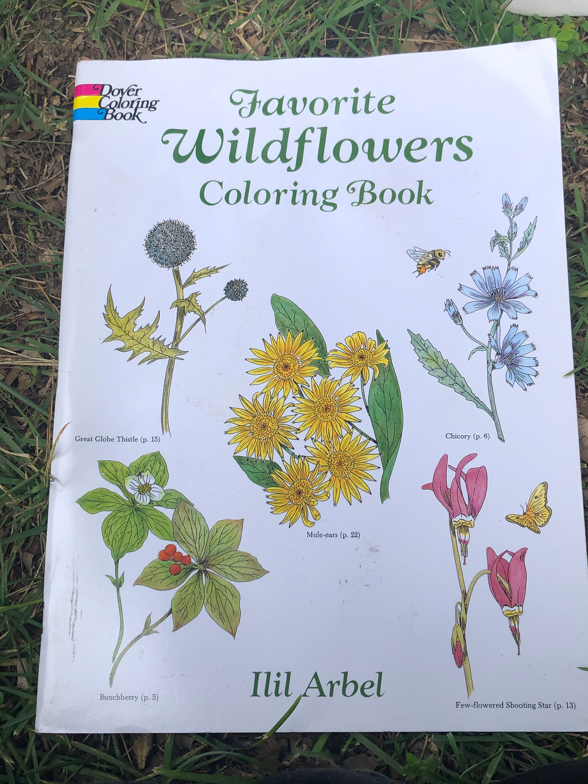 Favorite Wild Flowers Coloring