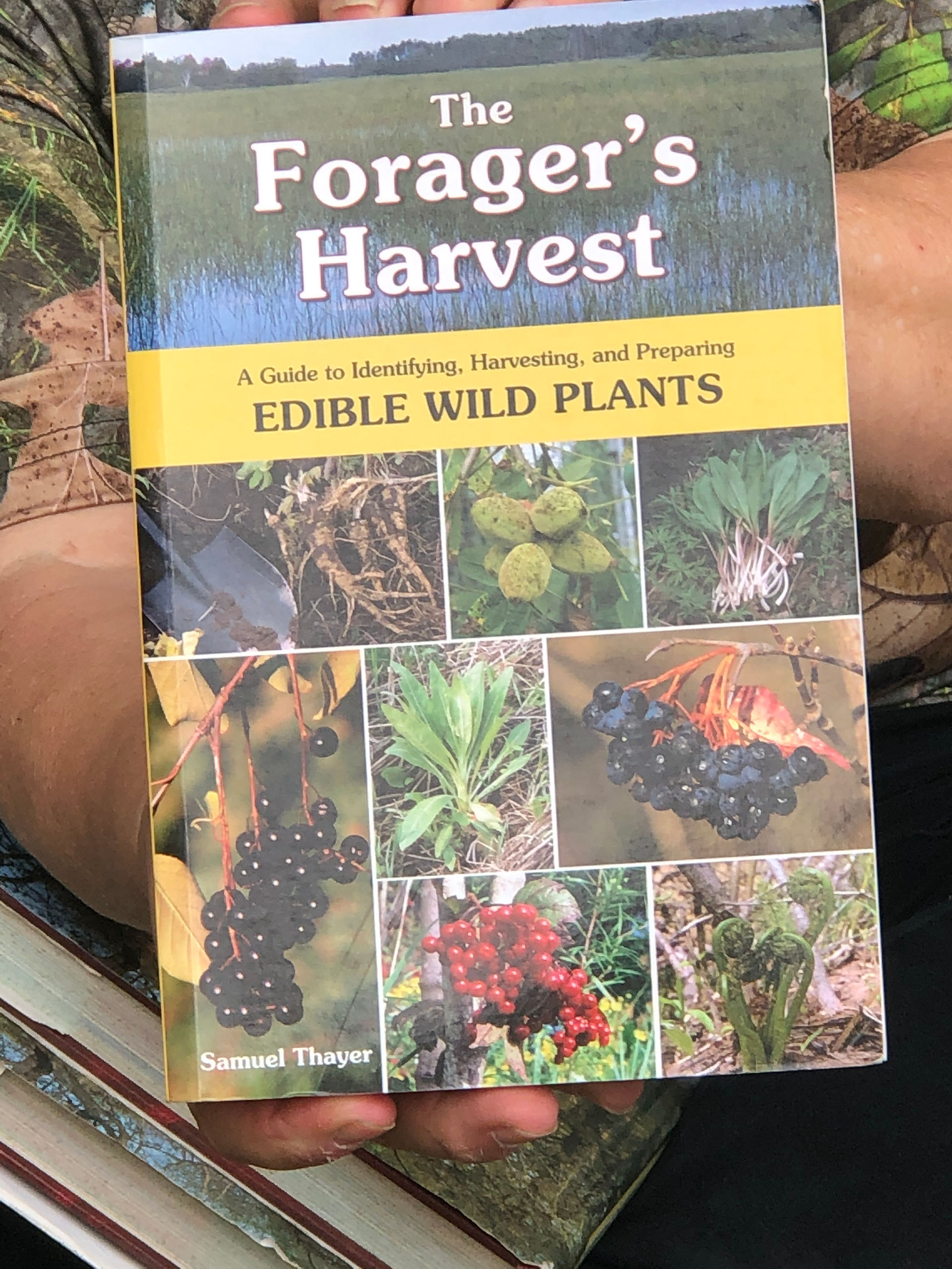 The Forager's Harvest: A Guide